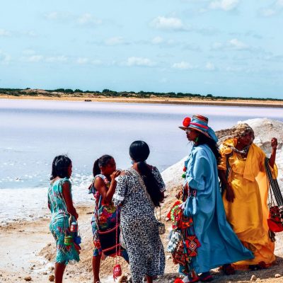 263177216_854606088555439_6558829556614078267_n