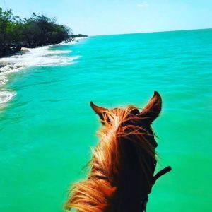 47581530_2031991796916114_1171901869627743589_n